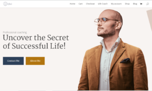 Life Coach